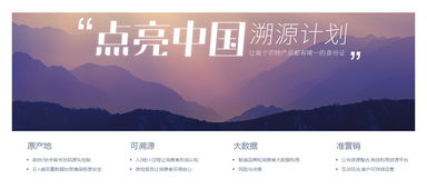 2016年阿里巴巴商業服務生態報告 個人商務服務的崛起與變革